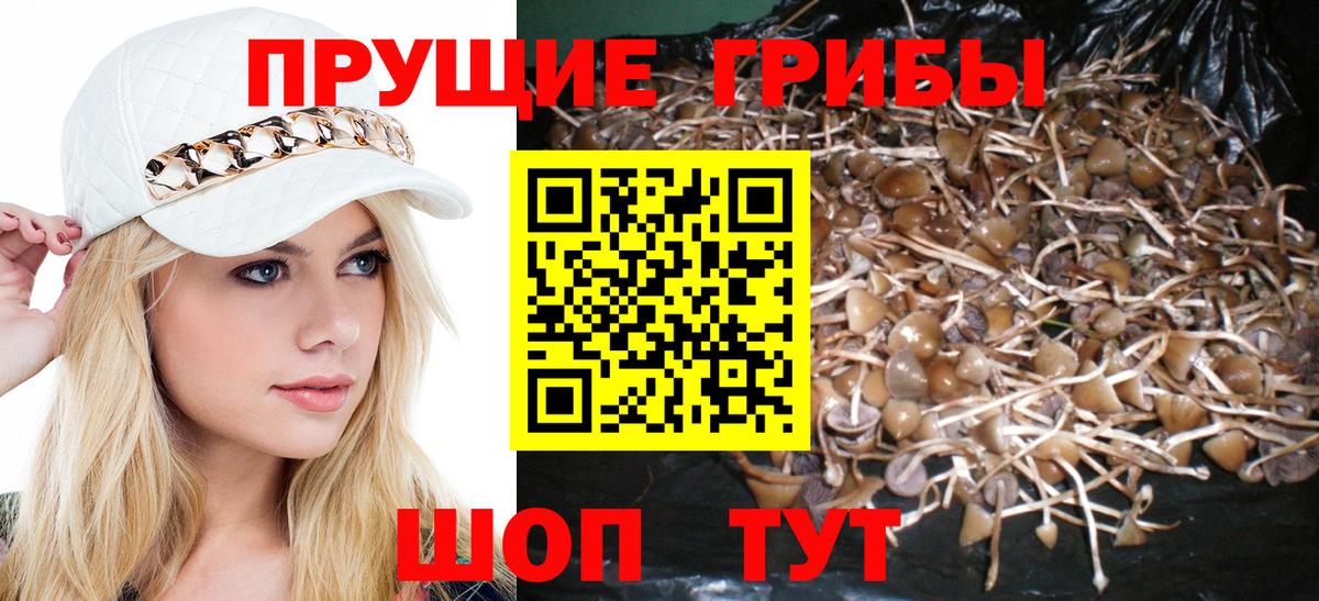 Лабинск  Псилоцибиновые грибы мухоморы  Галлюциногенные грибы GOLDEN TEACHER  Вход с VPN 